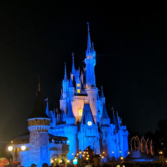 Meet your Posher, Rosie - Picture 1 of 1